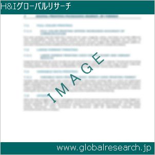 グローバルリサーチ調査レポートのイメージ